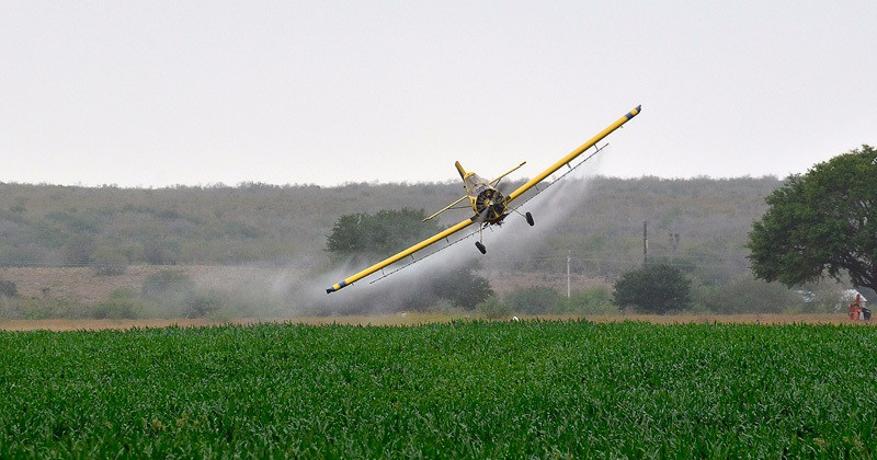 Avion Fumigando