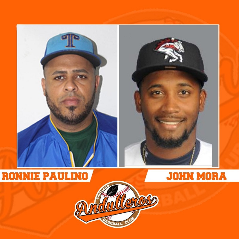 Ronnie Paulino