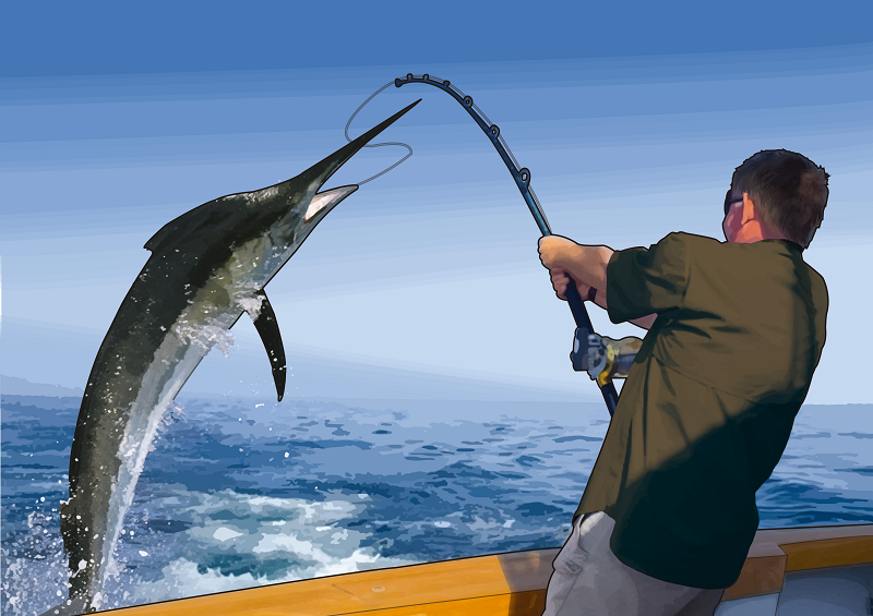 Marlin azul pesca