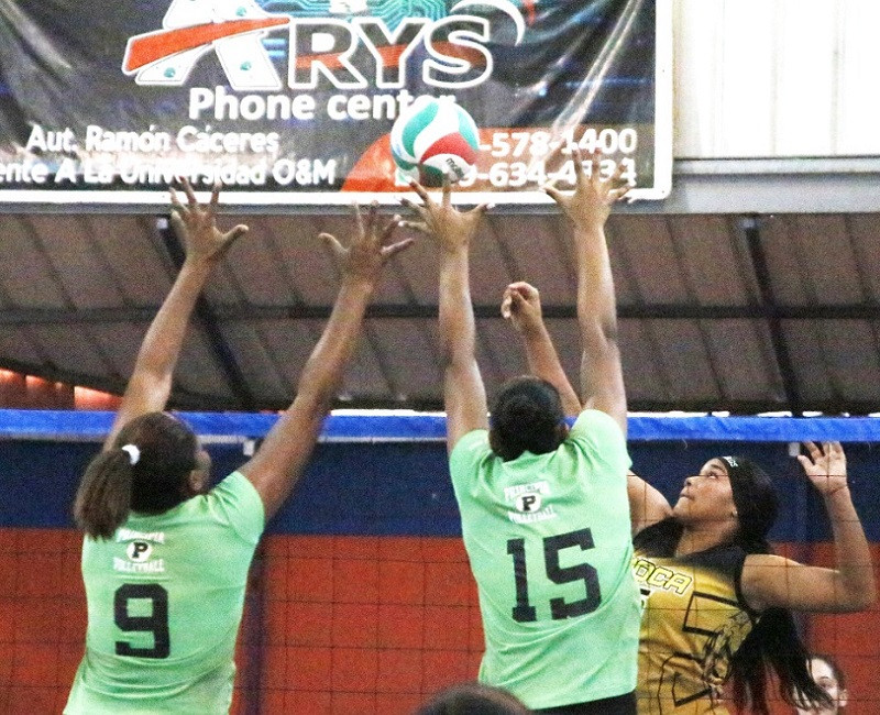 Voleibol