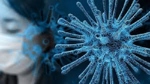 Virus