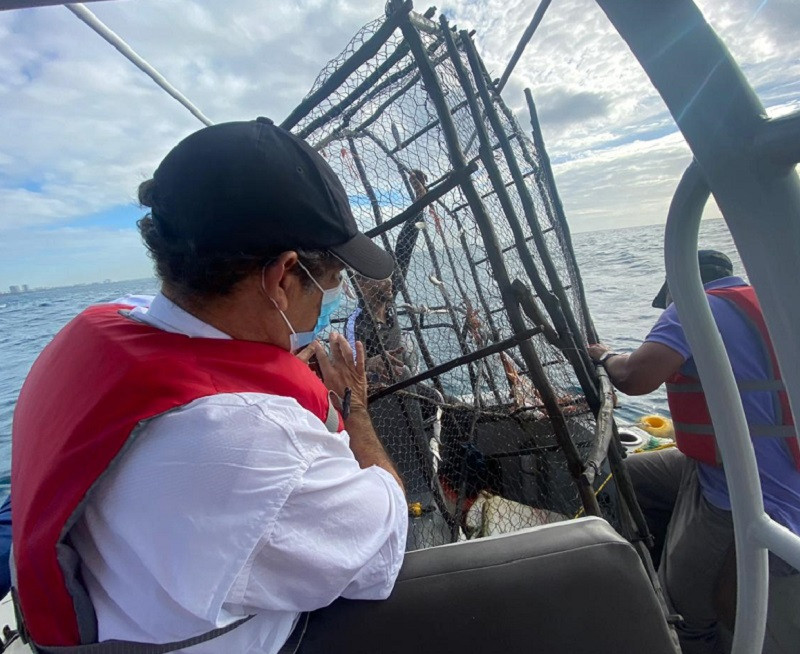 Operativo de pesca