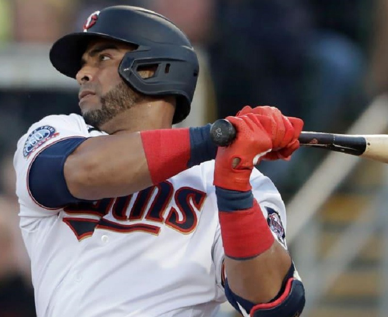 Nelson Cruz