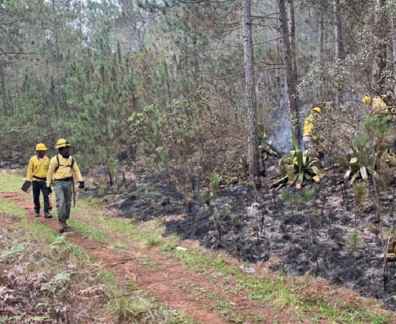 Bomberos