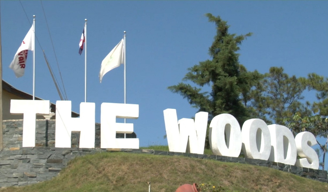 The Woods by Celebration