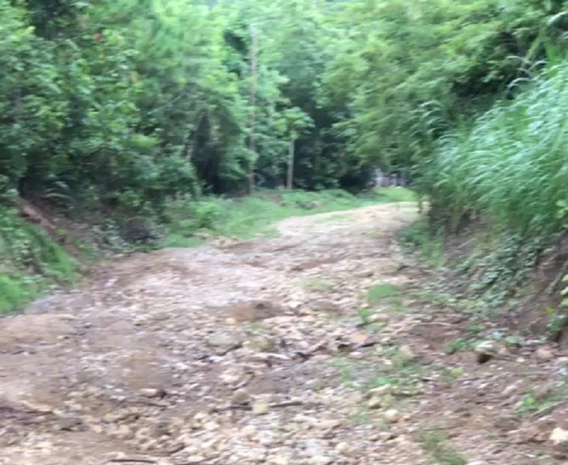 Foto Camino