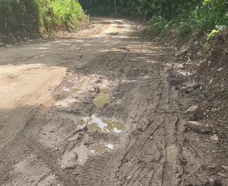 Camino vecinal
