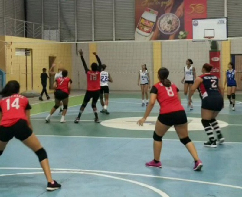 Voleibol