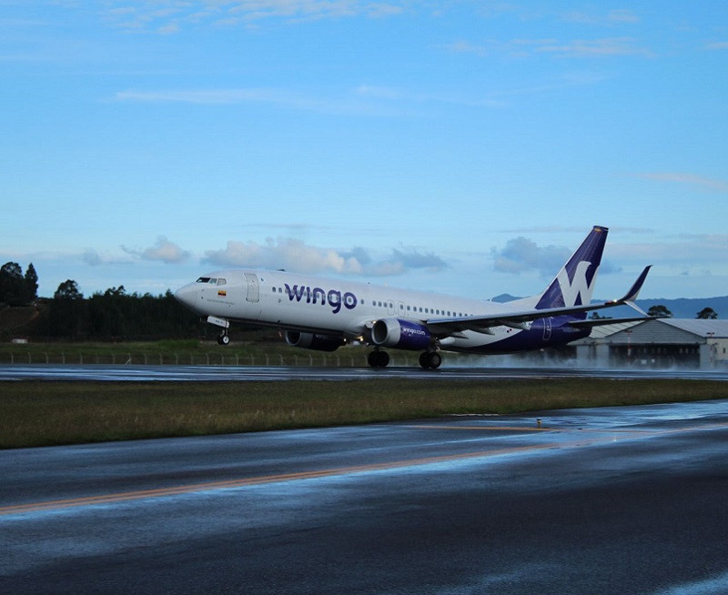 Wingo