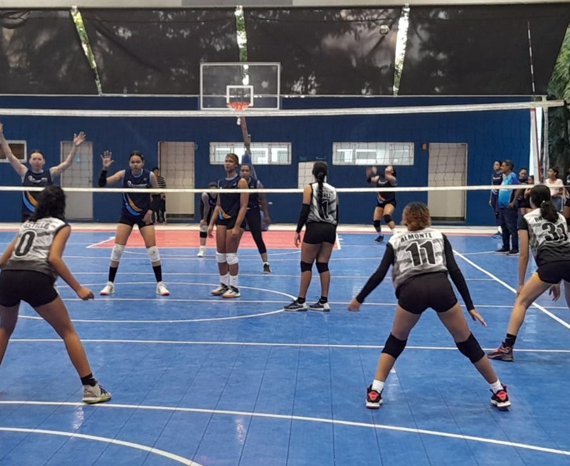 Voleibol