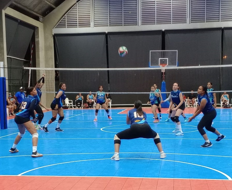 Voleibol